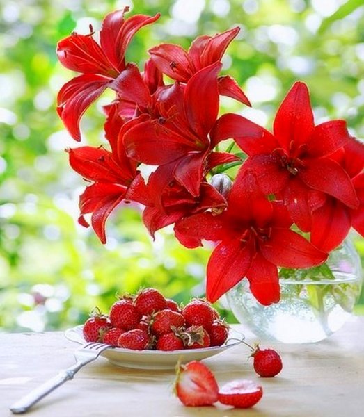 Прекрасный день