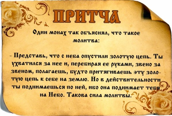 Веселые притчи о жизни