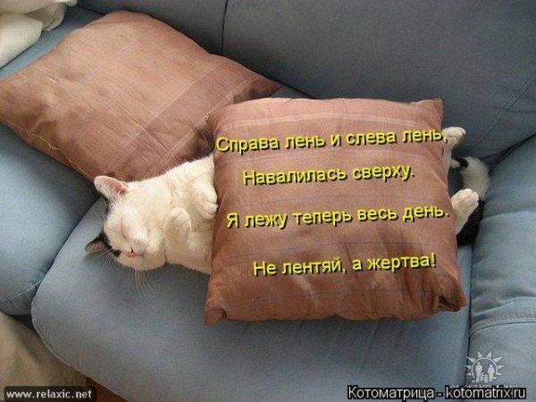 15 Июля праздник день лени