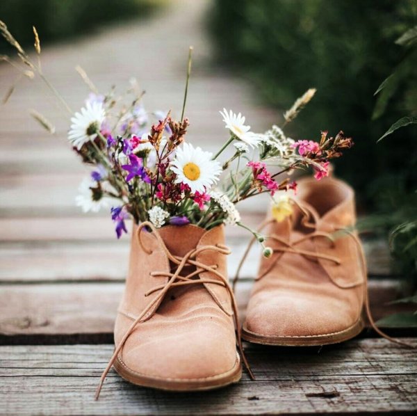 Радостного дня и хорошего настроения