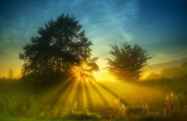 Рассвет нового дня