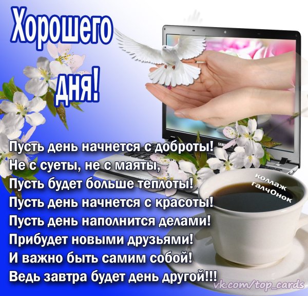 Добрый день стихи