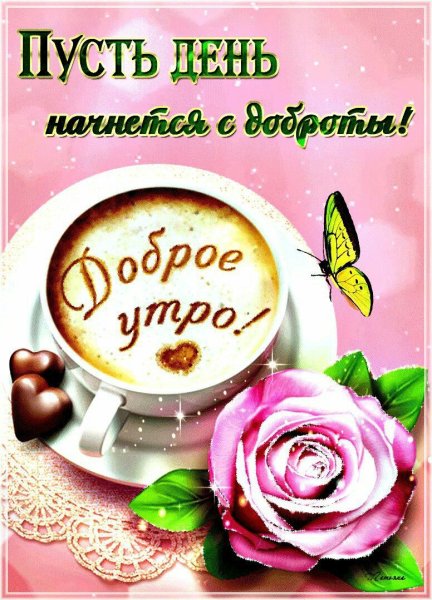 Открытки доброе утро хорошего дня