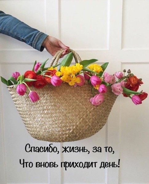 Доброе утро жизнь продолжается