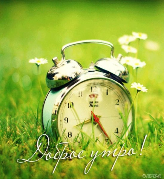 Доброе субботнее утро природа