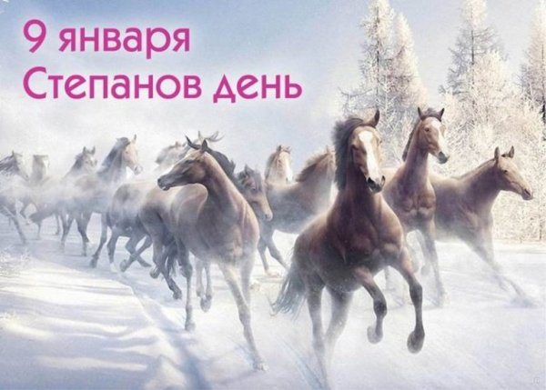 Ден Степанов