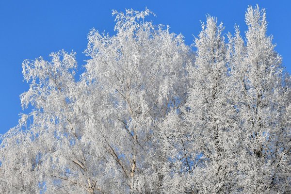 Стефанов день 9 января