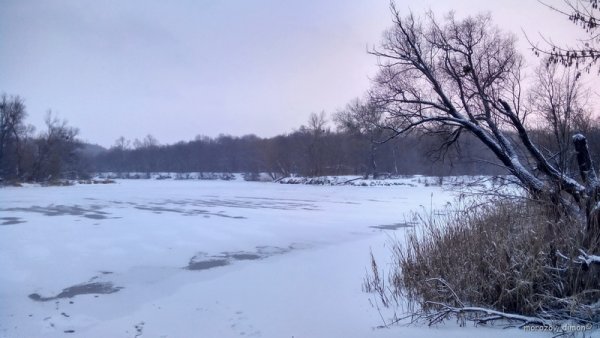 Степанов день 9 января фото