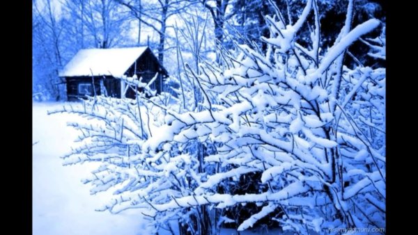 С днем ангела Степана