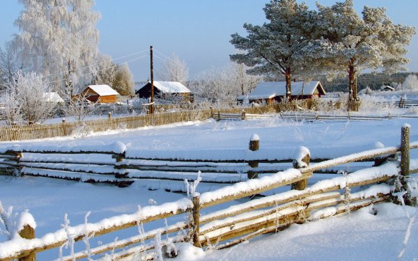 Картина Степанова лоси 2 класс фото