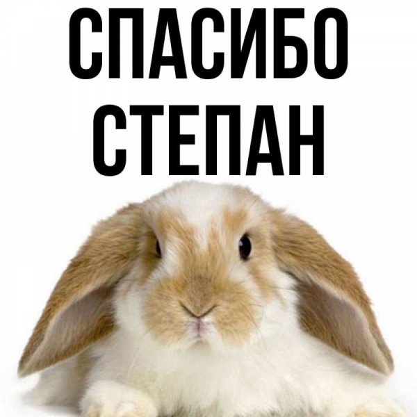 Картины Нестерчук Степан Владимирович