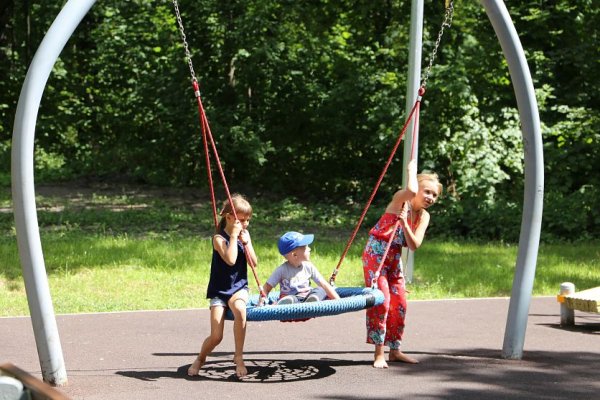 День качания на качелях