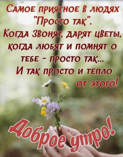 Мудрые пожелания с добрым утром