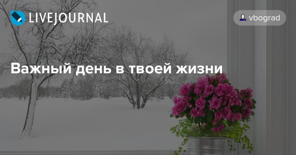 Сегодня важный день в твоей жизни
