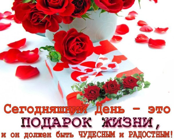 Новый день это жизни подарок