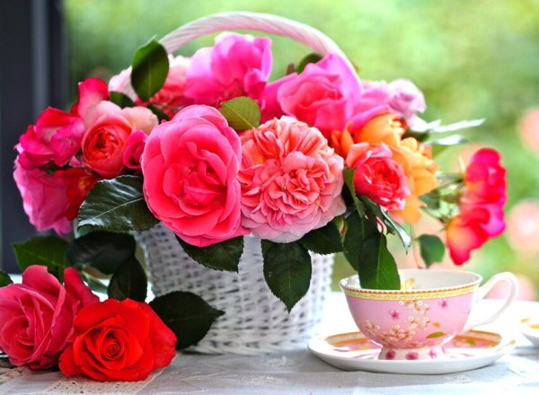 Утренние цветы для дамы