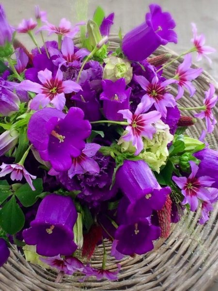 Открытка цветы