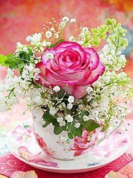 Нежный цветок