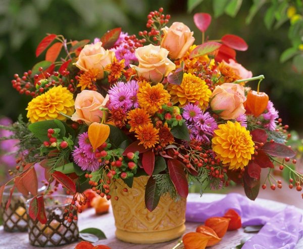 Осенние цвета