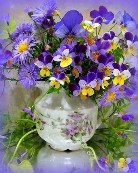 Букет анютиных глазок