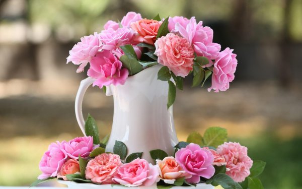 Утренние цветы