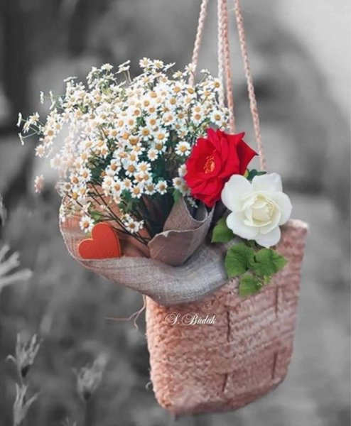 Трогательные цветы