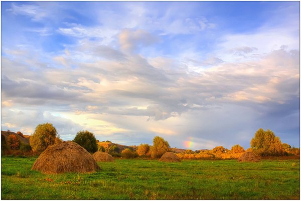Мокрины 1 августа