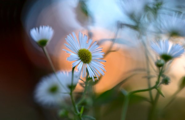 Улыбка природы Владимирская область