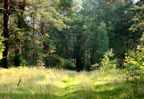 Славянские дети