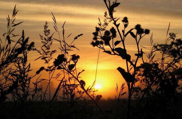 Уходящее лето