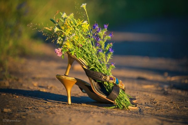 Осень чемодан