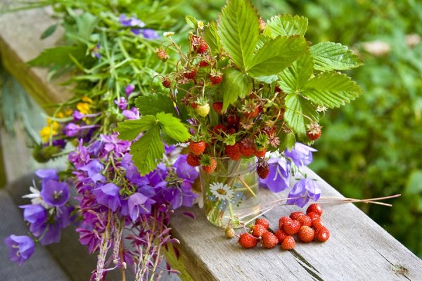 Открытки с уходящим летом