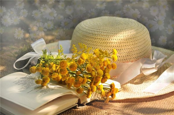 Уходящее лето картинки