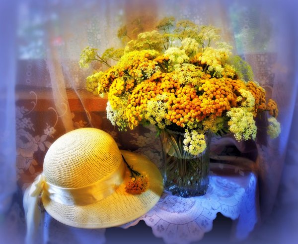 Лето с осенью встретились