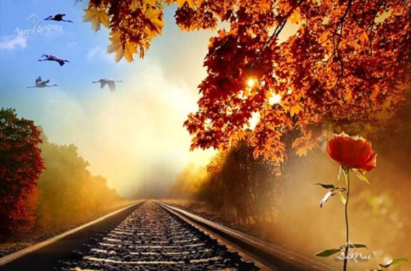 Конец лета дети