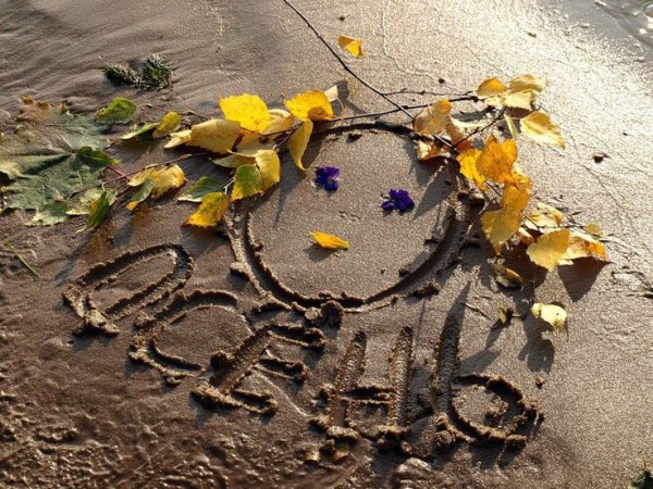 Август уходящее лето