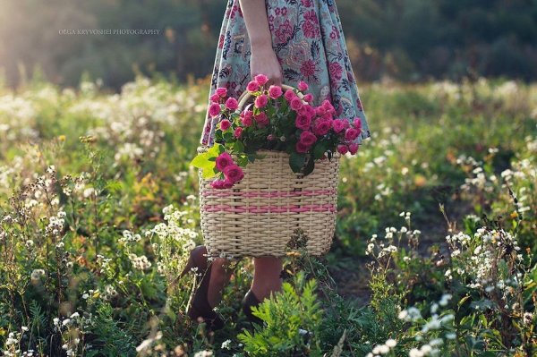 Уходит не лето а дни нашей жизни а лето