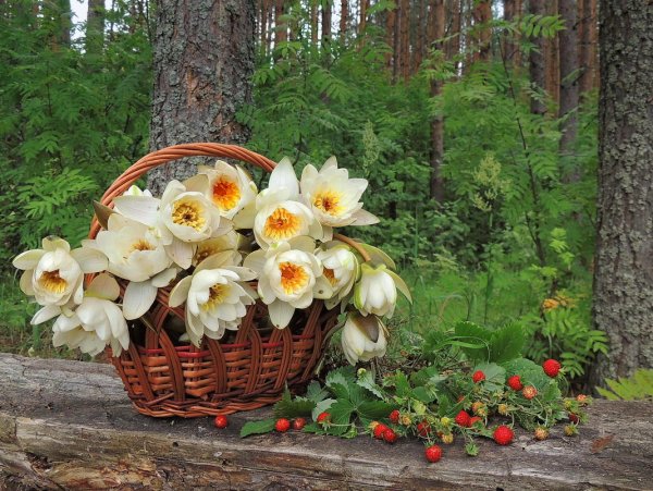 Стихи об ушедшем лете