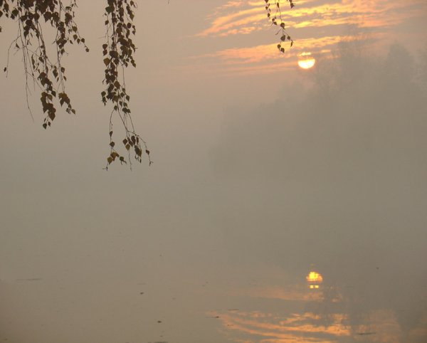 Скоро осень за окнами август