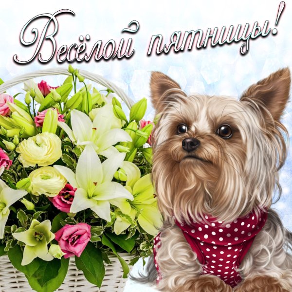 Открытки с пятницей