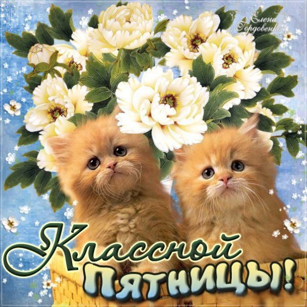 Открытки с пятницей