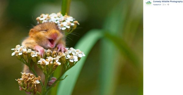 Доброе утро пятницы