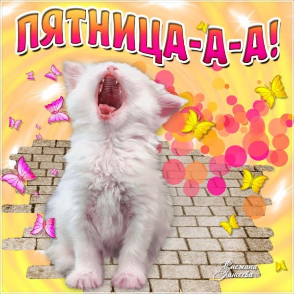 Открытки с пятницей прикольные