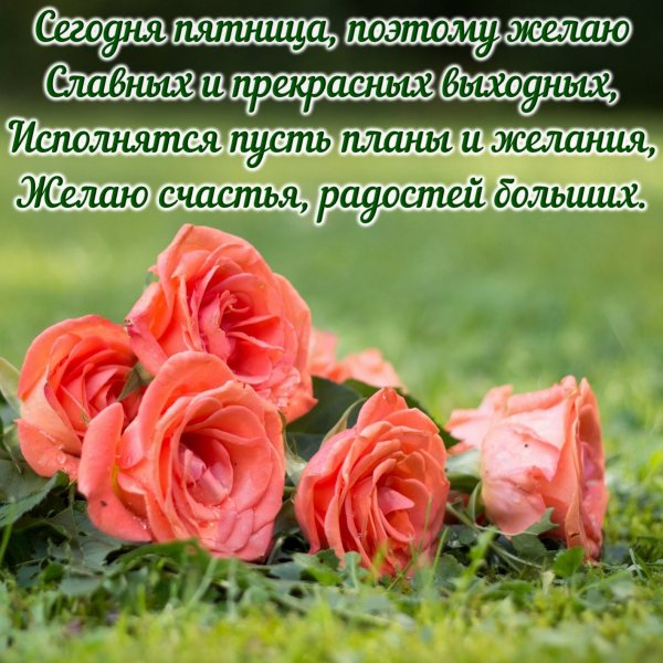 Открытки с добрым утром пятницы