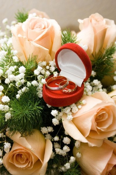 Кольца на свадьбу