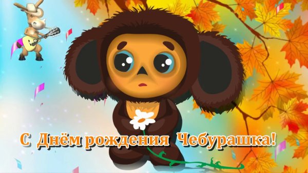 С днем рождения Ибрашка