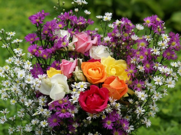 Огромный букет полевых цветов