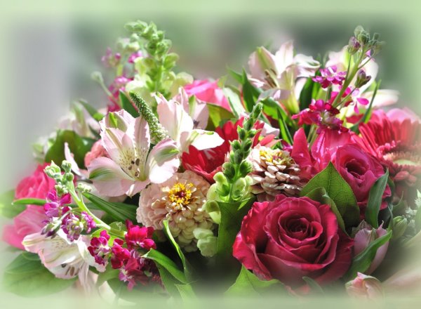 Красивой женщине красивые цветы