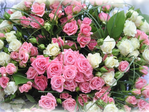 Красивый букет роз