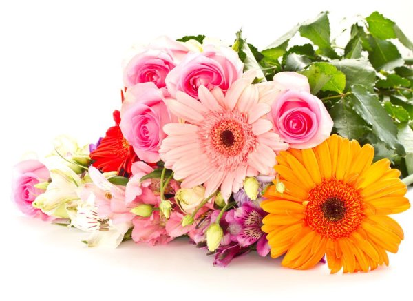 Букет цветов на белом фоне